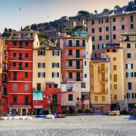 Al Porto 61 - Rooms For Rent Camogli Exterior foto