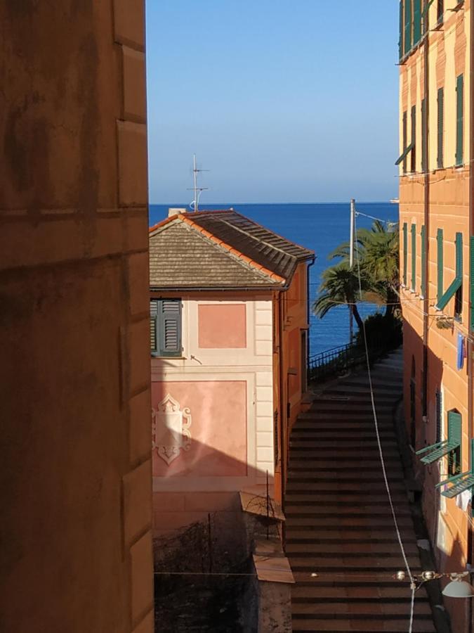 Al Porto 61 - Rooms For Rent Camogli Exterior foto